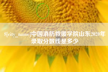 三门峡中国消防救援学院山东2020年录取分数线是多少