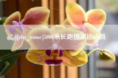 三门峡5000米长跑国家运动员