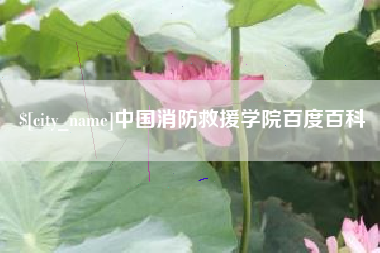 三门峡中国消防救援学院百度百科