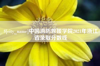 三门峡中国消防救援学院2021年浙江省录取分数线