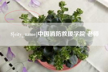 三门峡中国消防救援学院 老师