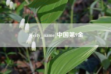 三门峡中国第9金