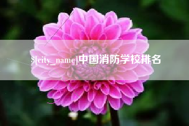 三门峡中国消防学校排名
