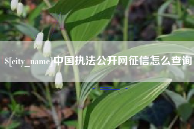 三门峡中国执法公开网征信怎么查询