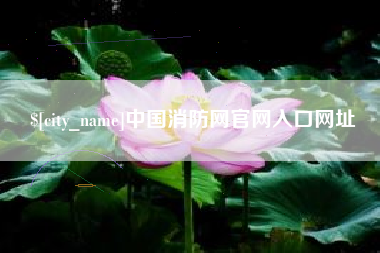 三门峡中国消防网官网入口网址