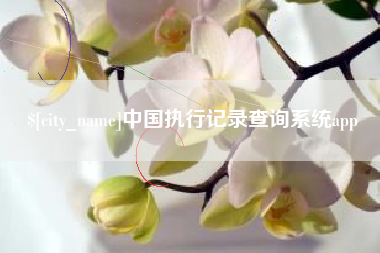 三门峡中国执行记录查询系统app