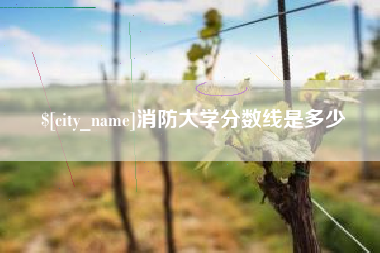 三门峡消防大学分数线是多少