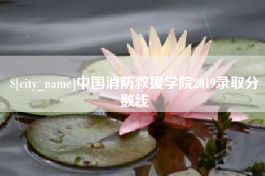 三门峡中国消防救援学院2019录取分数线