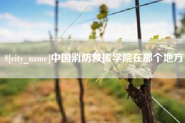 三门峡中国消防救援学院在那个地方