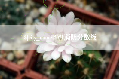 三门峡2021消防分数线
