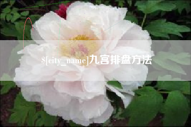 三门峡九宫排盘方法
