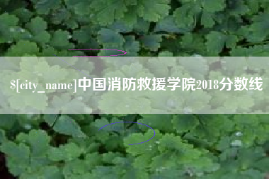 三门峡中国消防救援学院2018分数线