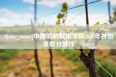 三门峡中国消防救援学院2020年各省录取分数线