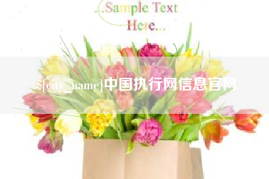 三门峡中国执行网信息官网
