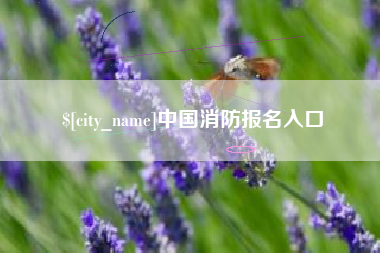 三门峡中国消防报名入口