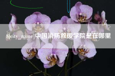 三门峡中国消防救援学院是在哪里