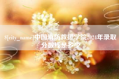 三门峡中国消防救援学院2024年录取分数线是多少