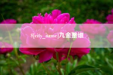 三门峡九金是谁