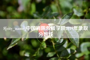 三门峡中国消防救援学院2019年录取分数线