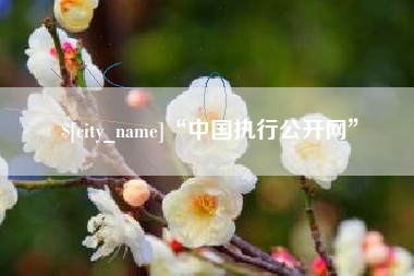 三门峡“中国执行公开网”