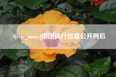 三门峡中国执行信息公开网后