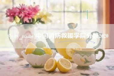 三门峡中国消防救援学院分数2020