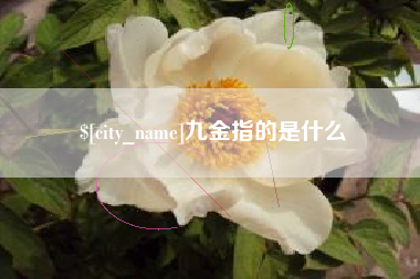 三门峡九金指的是什么