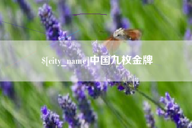 三门峡中国九枚金牌