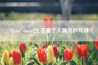 三门峡王子豪个人简介乒乓球
