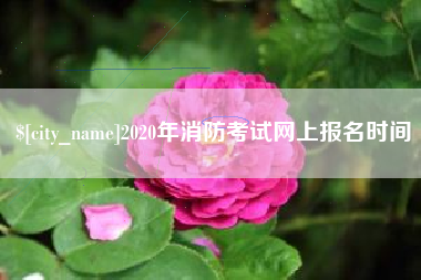 三门峡2020年消防考试网上报名时间