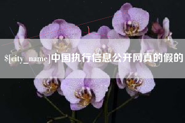 三门峡中国执行信息公开网真的假的