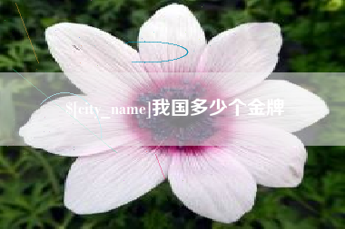三门峡我国多少个金牌