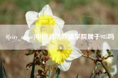 三门峡中国消防救援学院属于985吗