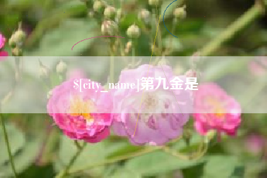 三门峡第九金是