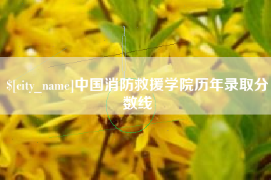 三门峡中国消防救援学院历年录取分数线
