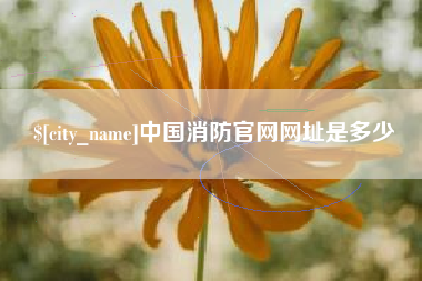 三门峡中国消防官网网址是多少