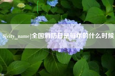 三门峡全国消防日是每年的什么时候
