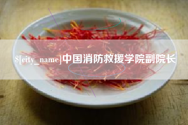 三门峡中国消防救援学院副院长