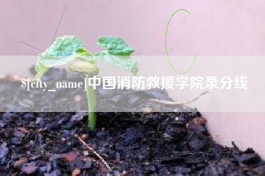 三门峡中国消防救援学院录分线