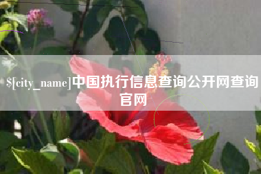 三门峡中国执行信息查询公开网查询官网
