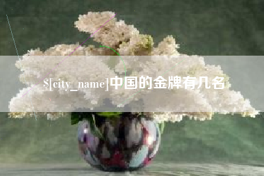三门峡中国的金牌有几名