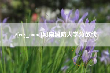 三门峡河南消防大学分数线