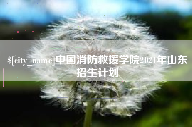 三门峡中国消防救援学院2021年山东招生计划
