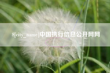 三门峡中国执行信息公开网网
