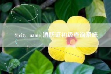 三门峡消防证初级查询系统