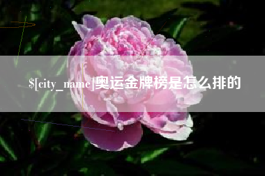 三门峡奥运金牌榜是怎么排的