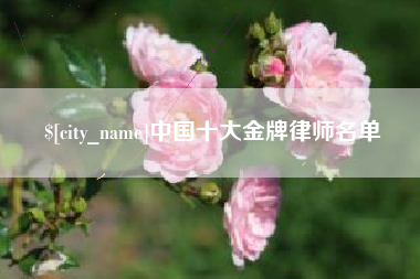 三门峡中国十大金牌律师名单
