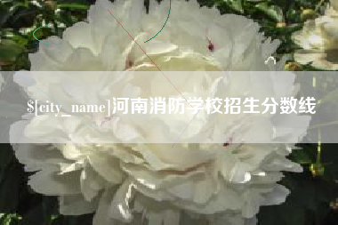 三门峡河南消防学校招生分数线