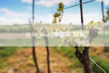 三门峡中国队 冠军