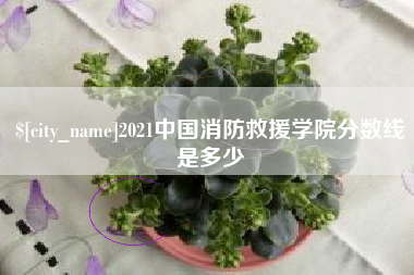 三门峡2021中国消防救援学院分数线是多少